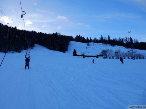 20190212-blumenstein-046.jpg