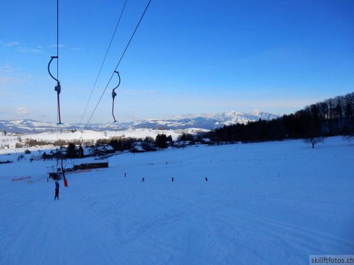 20190212-blumenstein-047.jpg