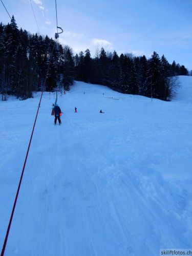 20190212-blumenstein-052.jpg