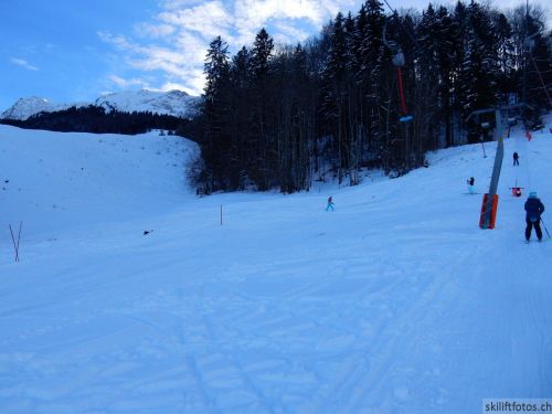 20190212-blumenstein-053.jpg