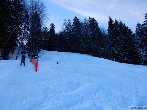 20190212-blumenstein-057.jpg