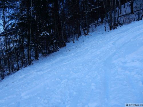 20190212-blumenstein-058.jpg