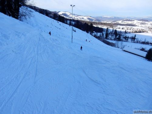 20190212-blumenstein-069.jpg