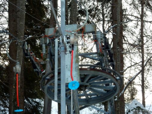 20190212-blumenstein-071.jpg
