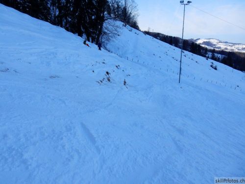 20190212-blumenstein-073.jpg