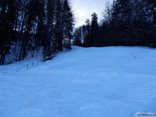 20190212-blumenstein-074.jpg
