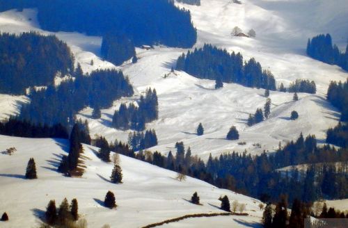 20190212-blumenstein-078.jpg
