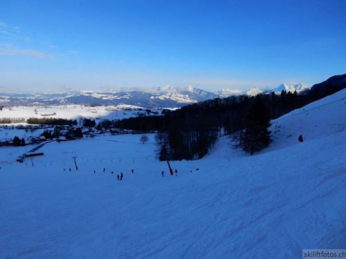 20190212-blumenstein-081.jpg