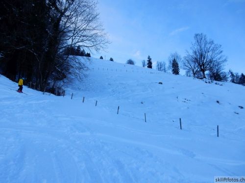 20190212-blumenstein-082.jpg