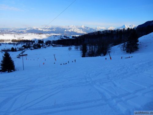 20190212-blumenstein-083.jpg