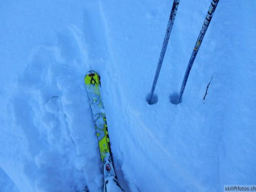 20190212-blumenstein-088.jpg