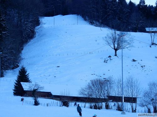 20190212-blumenstein-097.jpg