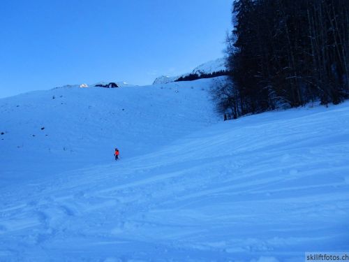 20190212-blumenstein-108.jpg