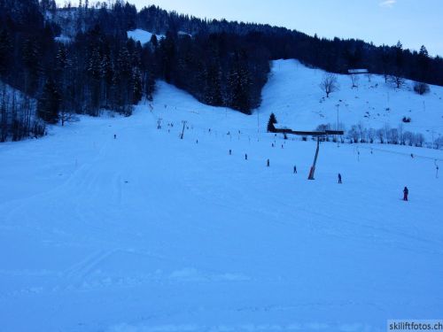 20190212-blumenstein-113.jpg