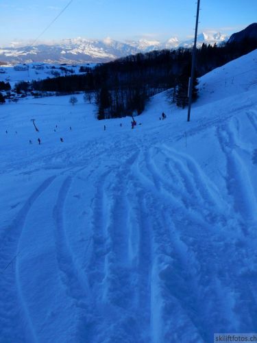 20190212-blumenstein-118.jpg