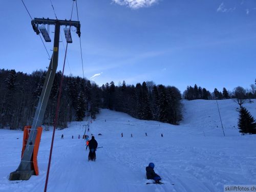 20190212-blumenstein-119.jpg