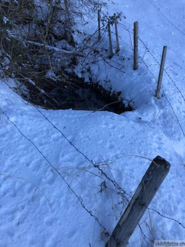20190212-blumenstein-121.jpg