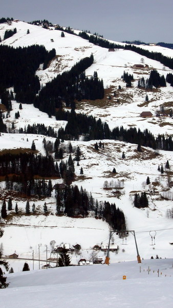14. Januar 2009

