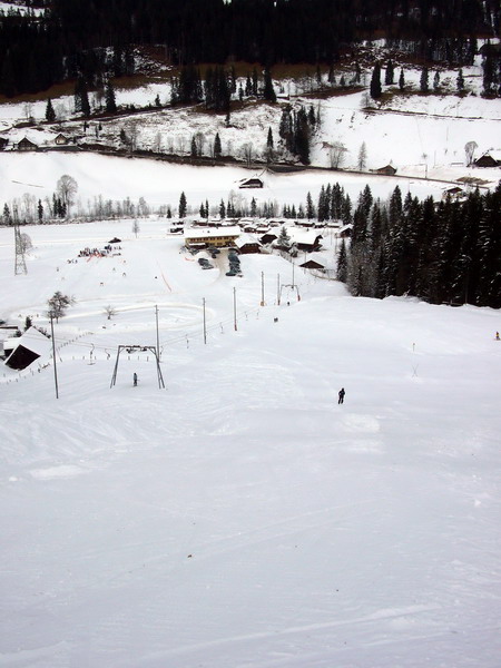 14. Januar 2009
