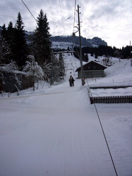 14. Januar 2009
