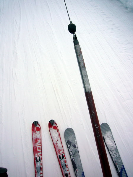14. Januar 2009

