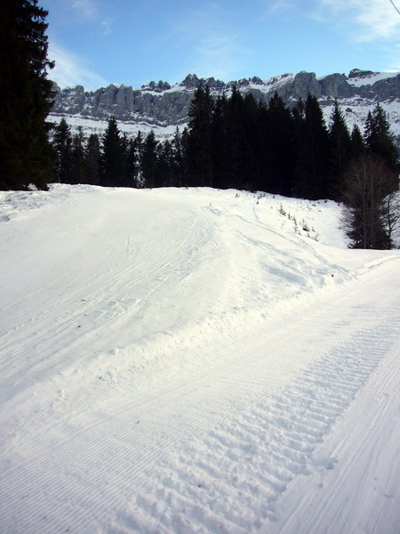 14. Januar 2009
