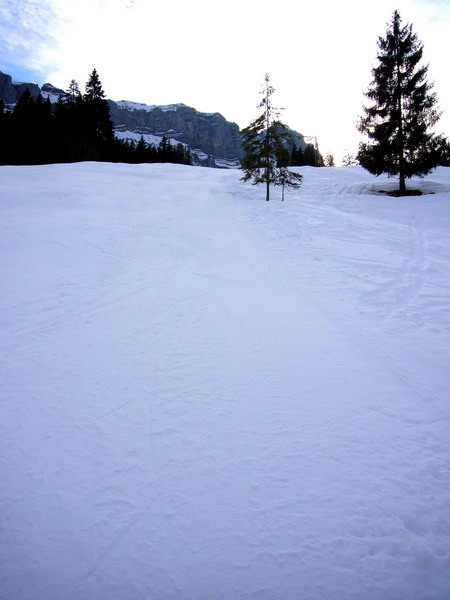 14. Januar 2009
