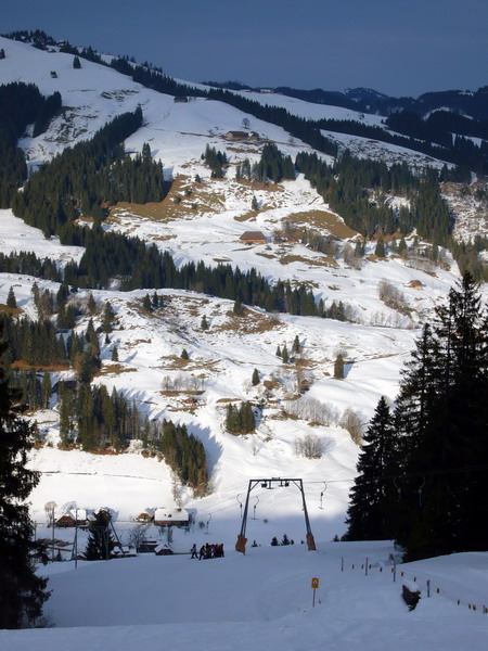 14. Januar 2009
