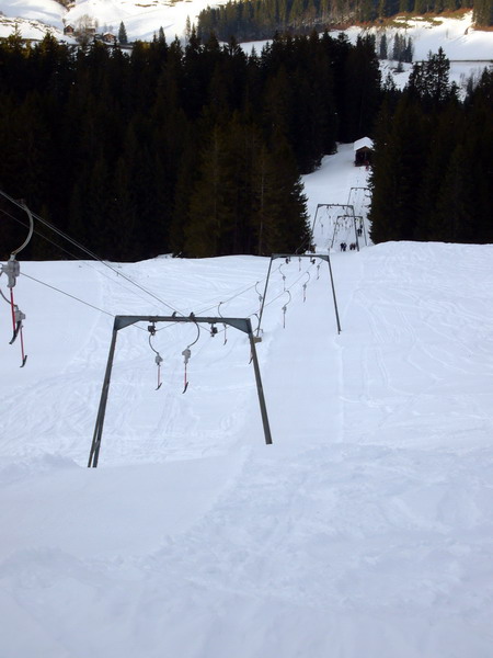 14. Januar 2009
