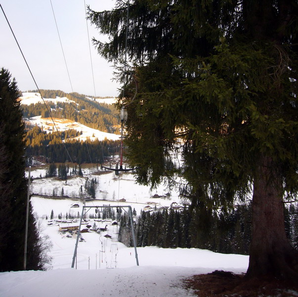 14. Januar 2009
