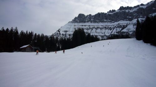 14. Januar 2009
