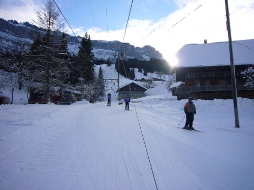 14. Januar 2009
