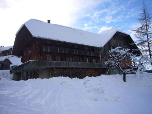 14. Januar 2009
