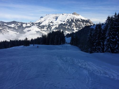 22. Januar 2015
