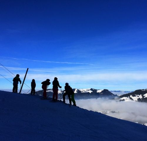22. Januar 2015
