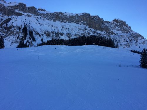 22. Januar 2015
