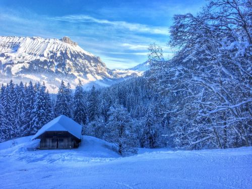 22. Januar 2015

