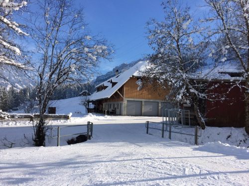 22. Januar 2015
