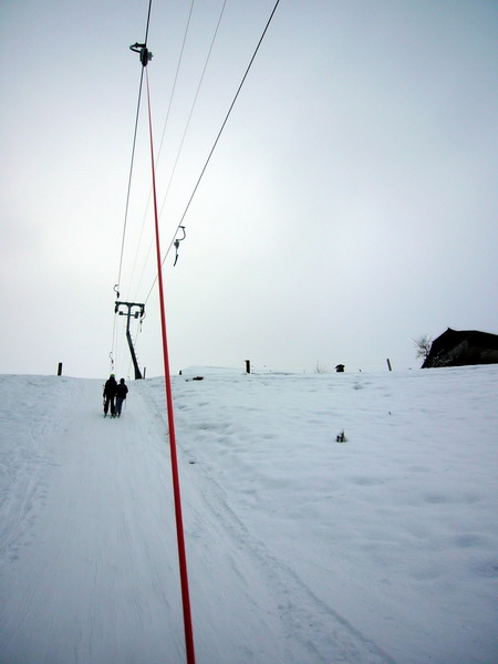 7. Januar 2009
