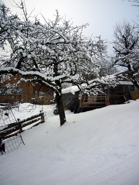 7. Januar 2009
