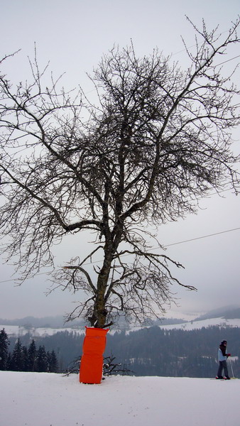 7. Januar 2009
