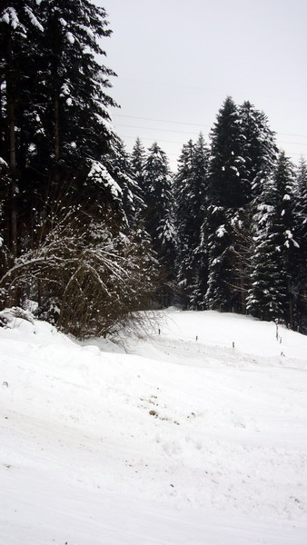 7. Januar 2009

