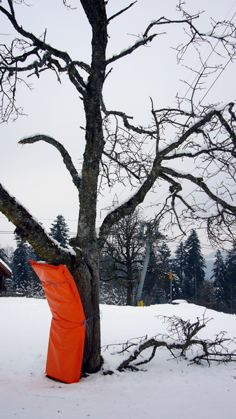 7. Januar 2009
