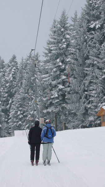 7. Januar 2009
