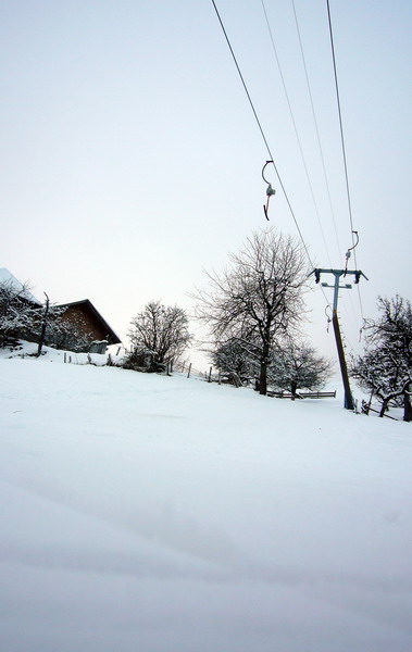 7. Januar 2009
