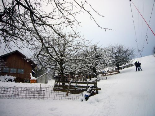 7. Januar 2009

