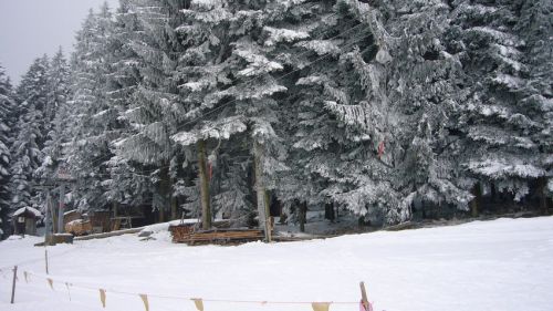 7. Januar 2009
