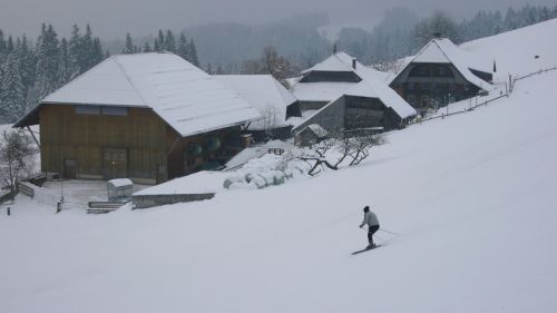 7. Januar 2009
