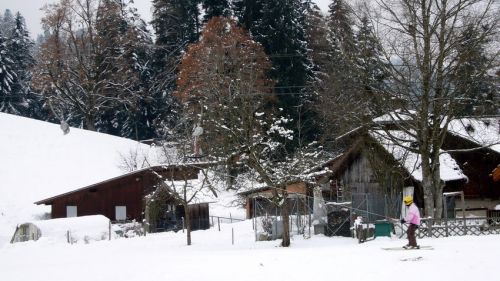 7. Januar 2009
