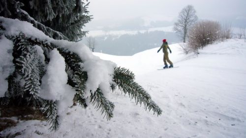 7. Januar 2009
